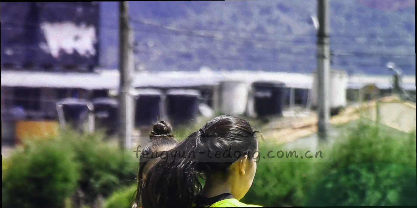 球场边线与草坪的高对比俯拍局部，白线斜切过画面